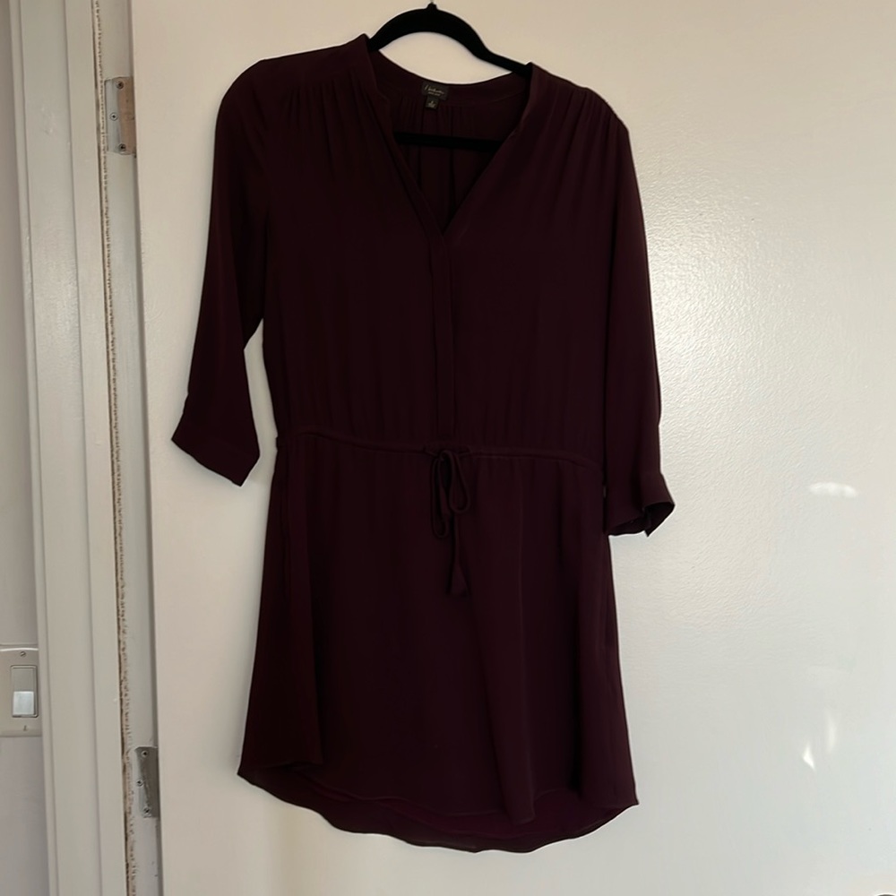 Aritzia 100% silk dress